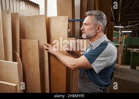 Concentrated bearded craftsman choosing veneer in workshop Stock Photo