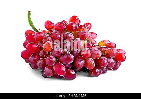 Grape Red on isolated white background Stock Photo