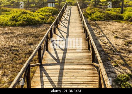 view of large wooden walkway through the dunes Stock Photo