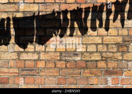 Shadow of washing line, Boulmer, Northumberland, UK Stock Photo