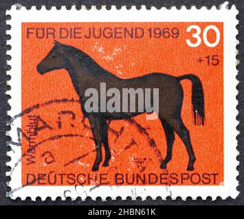 GERMANY - CIRCA 1969: a stamp printed in the Germany shows Hotblood Horse, circa 1969 Stock Photo