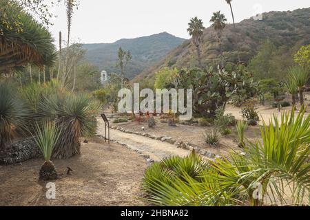 AVALON, UNITED STATES - Nov 21, 2021: Walkway through Wrigley Botanical Garden with the memorial to William Wrigley Jr. visible at the trail's end. Stock Photo