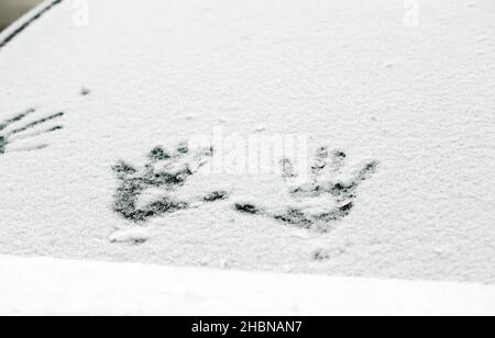 Winter, handprints on a snow windshield car Stock Photo