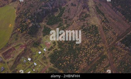 Aerial top view of rare houses near autumn mixed forest. Countryside beautiful landscape with yellow trees and buildings, concept of agriculture. Stock Photo