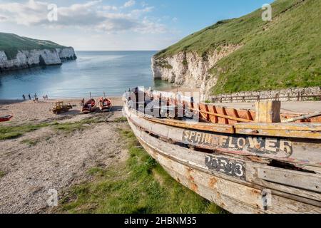 Old boat Spring Flowers at North Landing Bay , Flamborough Head, East Riding of Yorskhire Uk Stock Photo