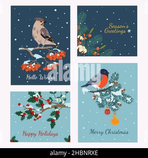 Winter birds cards. Christmas snowy banners with cute flying animals on branches. Whistler and bullfinch. Rowan and spruce trees. Holiday Stock Vector