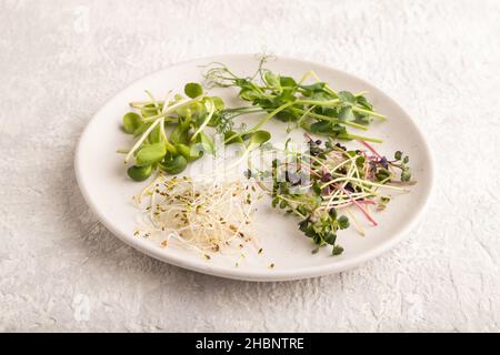 White ceramic plate with microgreen sprouts of green pea, sunflower, alfalfa, radish on gray concrete background. Side view, close up. Stock Photo