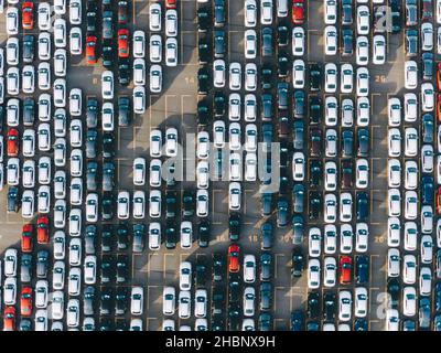 New multi-colored passenger cars stand in straight rows on a giant paved marked parking lot on the territory of an automobile manufacturing plant, overproduction Stock Photo
