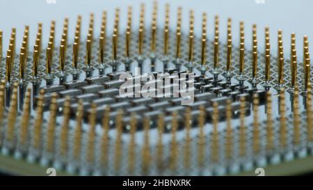 CPU Macro with Golden Pins Stock Photo