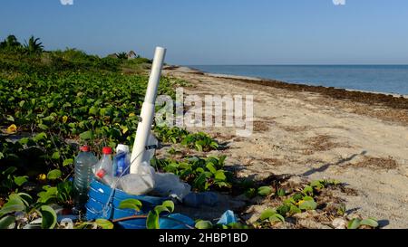 Plastic trash on beach Yucatan, Mexico Stock Photo