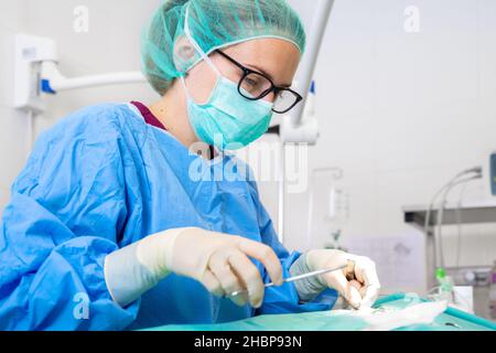 Close-up portrait of female surgeon wearing sterile clothing operating at operating room. High quality photography Stock Photo