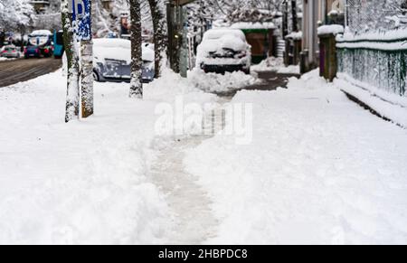 A natural shot of a path way made by people walking thru the snow in the morning Stock Photo