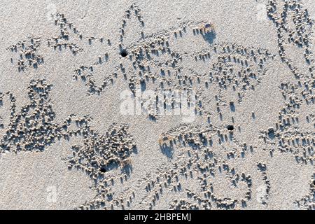 Patterns in a white beach made by sand or ghost crabs Stock Photo