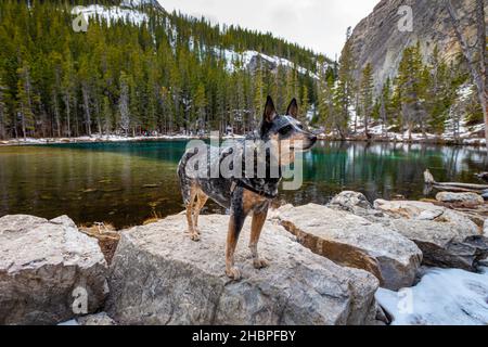 Spring Hiking views of Grassi Lakes, near Canmore, Alberta, Canada Stock Photo
