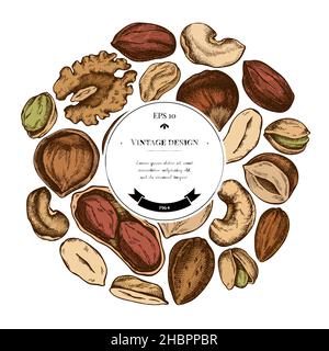 Round design with colored cashew, peanut, pistachio, hazelnut, almond, walnut Stock Vector