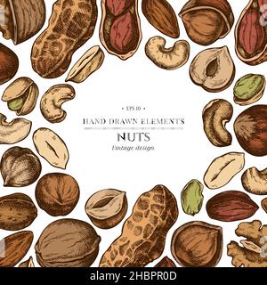 Colored elements design with cashew, peanut, pistachio, hazelnut, almond, walnut Stock Vector