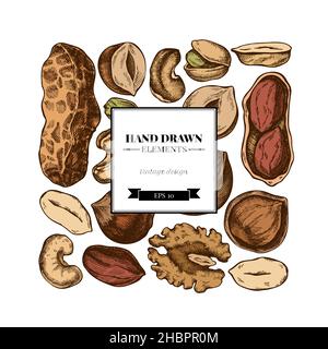 Square design with colored cashew, peanut, pistachio, hazelnut, almond, walnut Stock Vector
