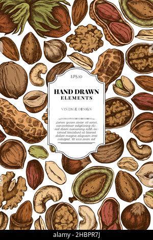 Card design with colored cashew, peanut, pistachio, hazelnut, almond, walnut Stock Vector