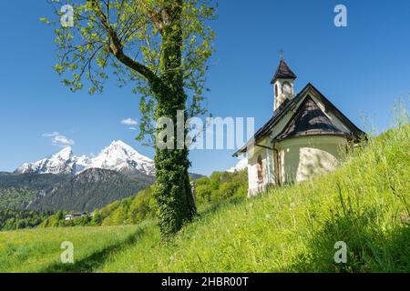 die Kirchleitn Kapelle am Mitterweinfeld hoch über Berchtesgaden mit dem maechtigen Watzmann im Hintergrund  im saftiggruenen Fruehsommer, Berchtesgad Stock Photo