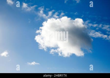 Eine einzelne Schäfchenwolken ziert nebst wenigen Federwolken bei starkem Wind den blauen Himmel Stock Photo