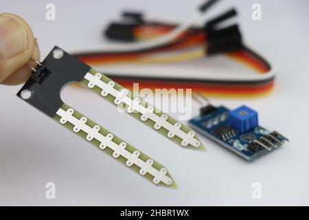 Soil moisture sensor module held in hand, Soil humidity sensor or hygrometer for electronic projects Stock Photo