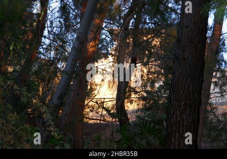 Encino, California, USA 19th December 2021 A general view of atmosphere of Musician/Singer Dave Grohl of Foo Fighters/Nirvana Home/house on December 19, 2021 in Encino, California, USA. Photo by Barry King/Alamy Stock Photo Stock Photo