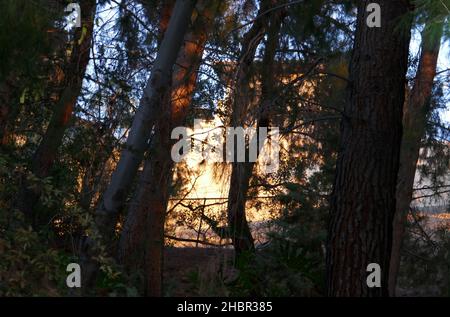 Encino, California, USA 19th December 2021 A general view of atmosphere of Musician/Singer Dave Grohl of Foo Fighters/Nirvana Home/house on December 19, 2021 in Encino, California, USA. Photo by Barry King/Alamy Stock Photo Stock Photo