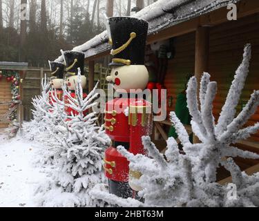 Toy soldiers with Christmas trees covered in snow at Woburn Forest, Center Parcs, Bedfordshire, England, UK Stock Photo