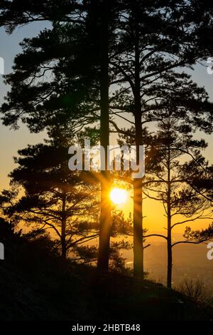 view from volcano Florian into the sunset over Metzingen City Stock Photo