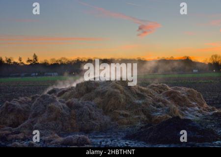 Pile of steaming manure on a winter’s day at sunset Stock Photo