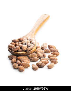 Dried cocoa beans in wooden spoon isolated on white background. Stock Photo