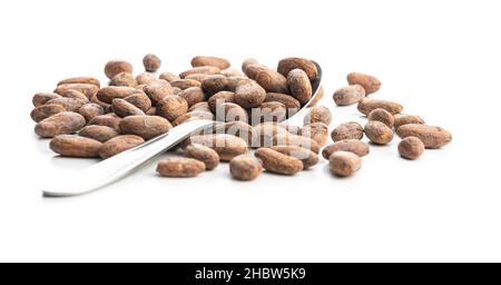 Dried cocoa beans isolated on white background. Stock Photo