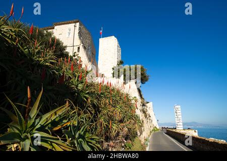 Antibes city, museum, tower aloe flowers on a sunny day Stock Photo