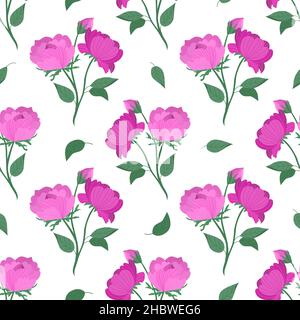Floral vector seamless pattern with peonies on a white background. Hand-drawn pink peonies. Stock Vector