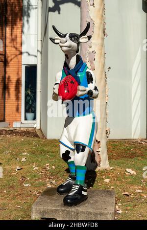 Footballer Cow Art at the Council Offices, Shepparton, Victoria, Australia Stock Photo