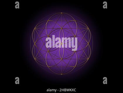 Flower of Life, Seed of life symbol Sacred Geometry, mystic mandala of alchemy esoteric sign. Golden luxury logo Vector isolated on purple background Stock Vector