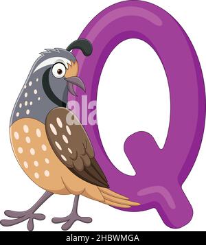 Alphabet letter Q for Quail Stock Vector