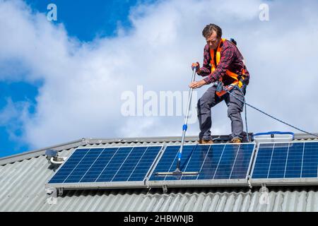 Tradesman cleaning solar panels on roof of house Stock Photo