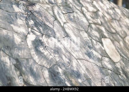 texture background with selective focus Stock Photo