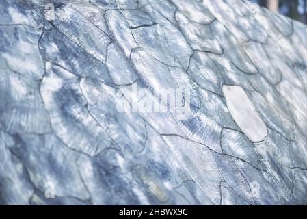 texture background with selective focus Stock Photo