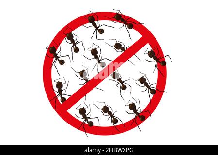 No ant sign. Insect silhouettes in warning sign isolated on white background. Caution and stop vector illustration. Stock Vector