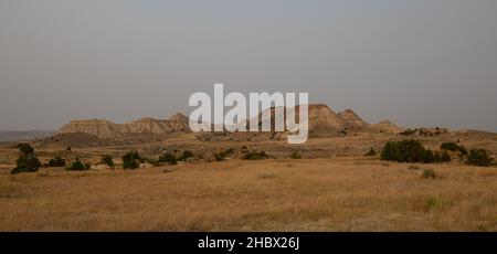 Panorama of striped barren hills of Terry Badlands, Montana, with field of dried grass and shrubs in foreground. Image photographed in golden hour.OLY Stock Photo