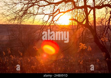 Colorful bright fiery sunset behind the trees Stock Photo
