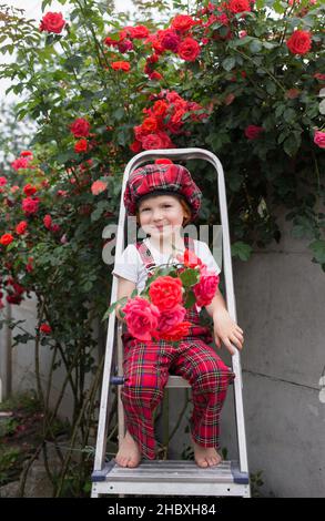 Portrait of a cute cheerful happy boy 4-5 years old in a plaid overalls and a beret on the background of a large bush of blooming red roses. Valentine Stock Photo