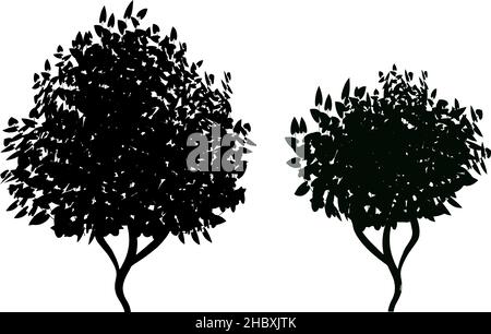 Decorative design element in black and white colors.Set of monochrome silhouette of shrubs and trees. Stock Vector
