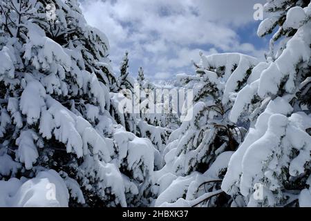 Winter in Andorra Pyrennes landscape. Coll d'Ordino views Stock Photo