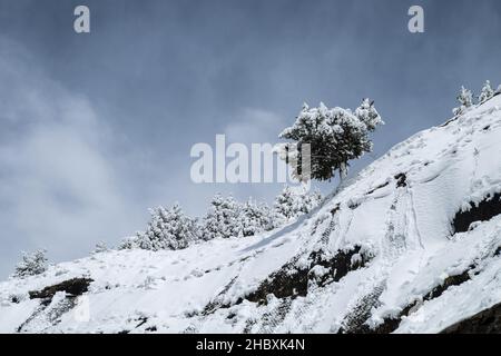 Winter in Andorra Pyrennes landscape. Coll d'Ordino views Stock Photo