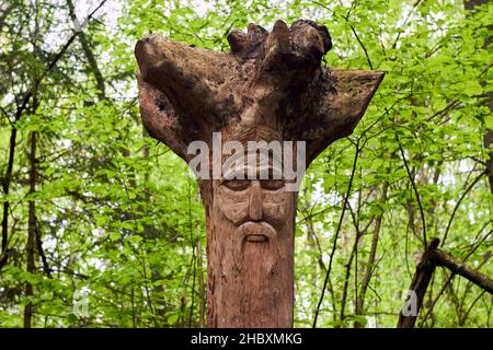 The image of the Slavic deity Veles carved from root of a tree on a neo-Pagan temple in the forest. Kaluzhskiy region, Russia. Veles - the god of catt Stock Photo