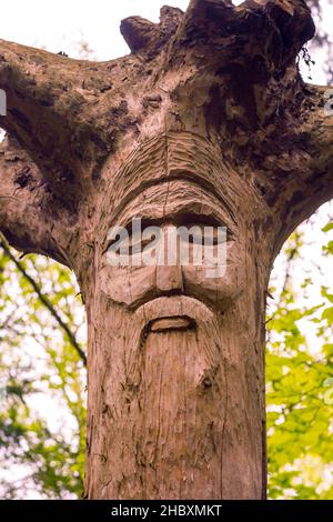 The image of the Slavic deity Veles carved from root of a tree on a neo-Pagan temple in the forest. Kaluzhskiy region, Russia. Veles - the god of catt Stock Photo