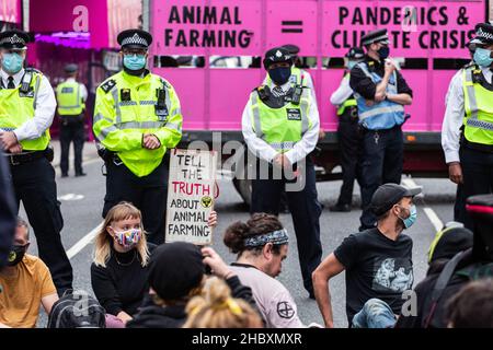 Animal rebellion activists sitting in road in front of  pink truck with police and placard Tell the Truth about Animal Farming London 2020 Stock Photo